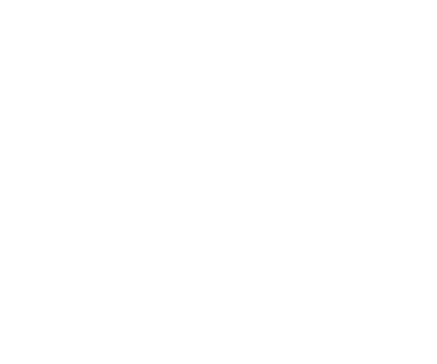 Icono 5