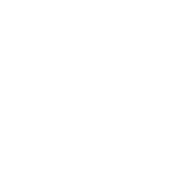 Icono 4